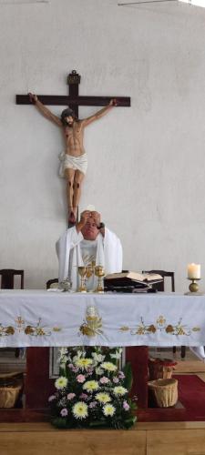 galeria1